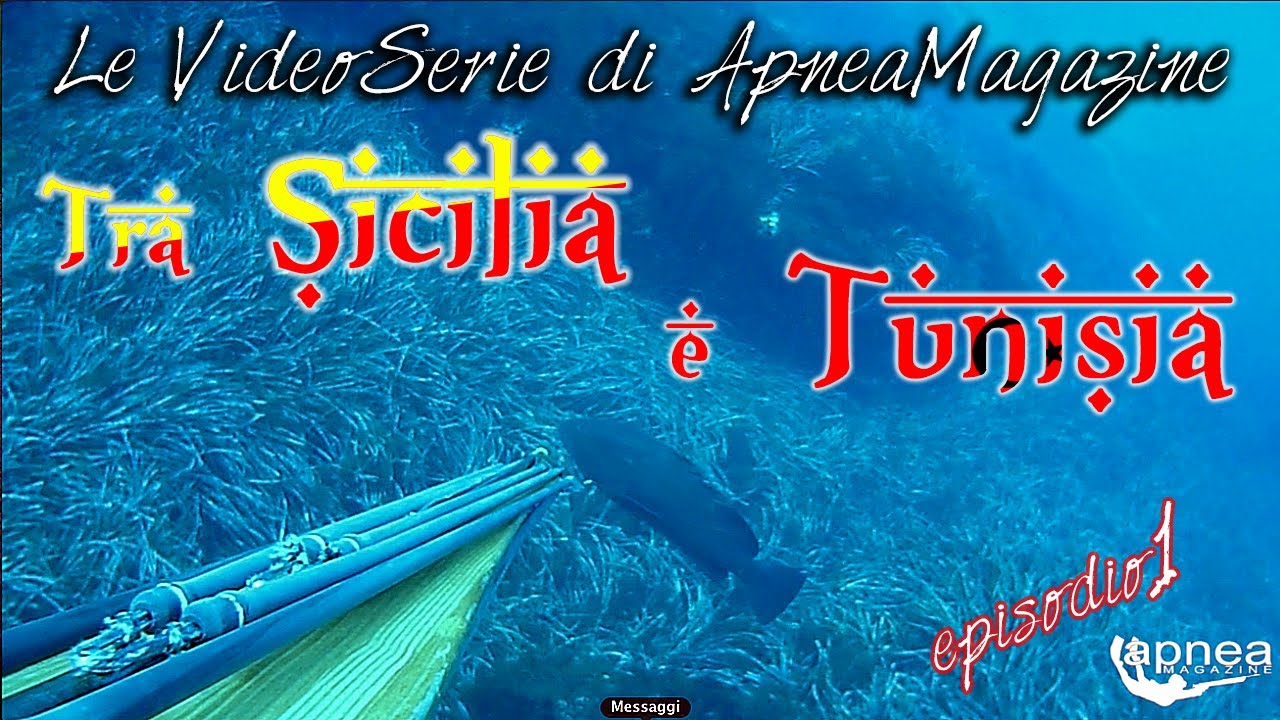 Pescasub sul Banko Skerki: Cernione al volo - Apnea Magazine