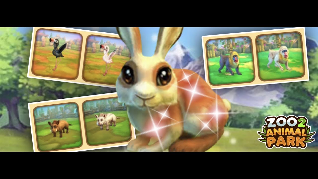 Zoo 2 Animal Park #213 Patch 3.6.3 : Les animaux Scintillants et les Nouveautés