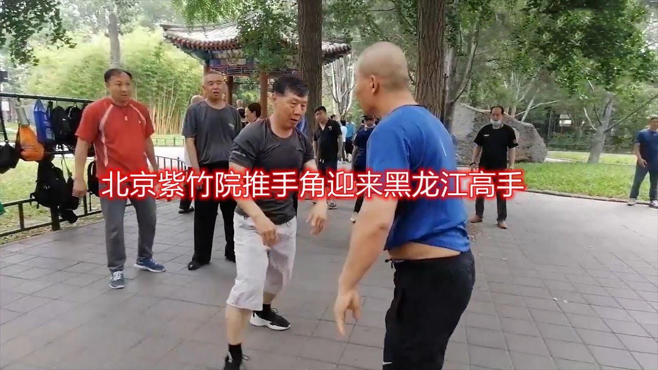 太极推手，传武实战，中国功夫交流园地，黑龙江武林高手到北京紫竹院推手交流，传武推手练的究竟是什么【胡天狐】