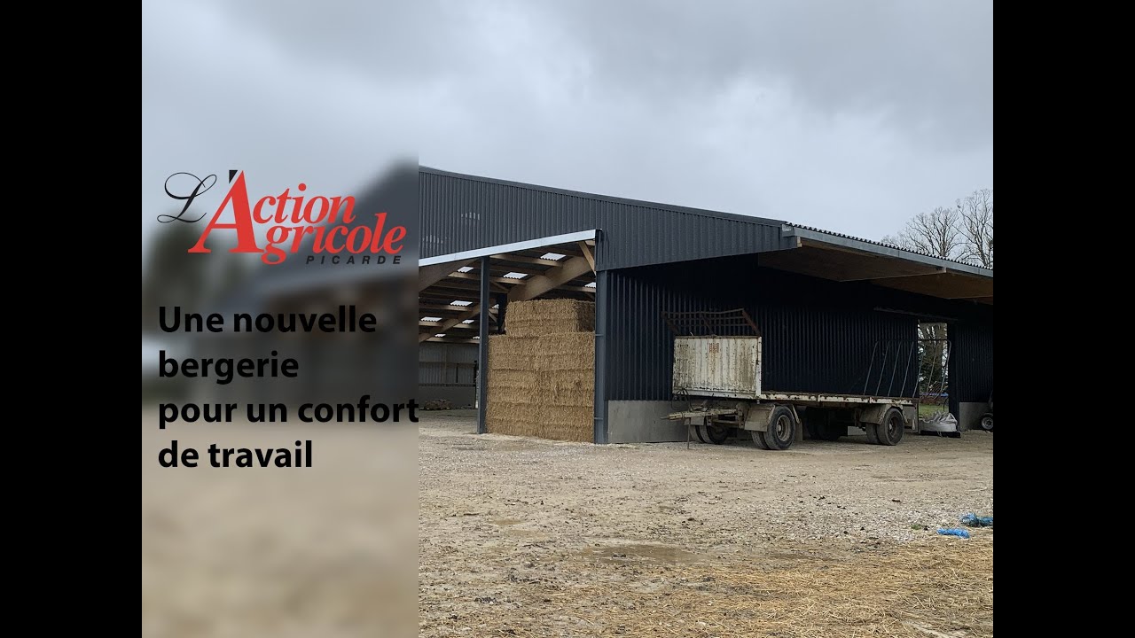 Une nouvelle bergerie pour un confort de travail