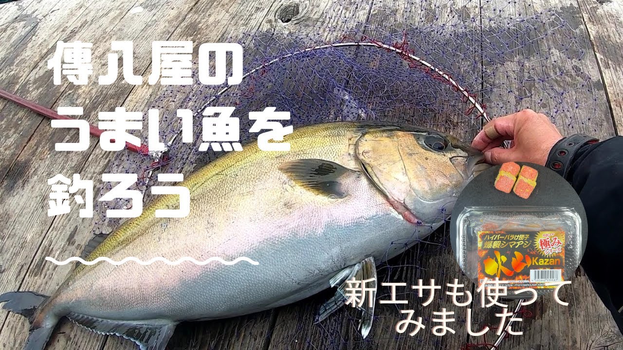 シラサのタンゴ炸裂！エサを吟味して傳八屋の美味しい魚を釣ろう