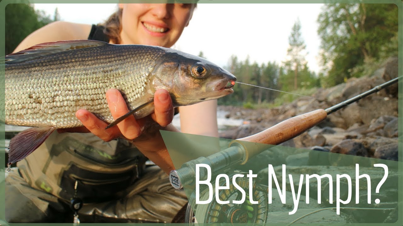 Fly fishing Norway &ndash; Grayling Nymphs