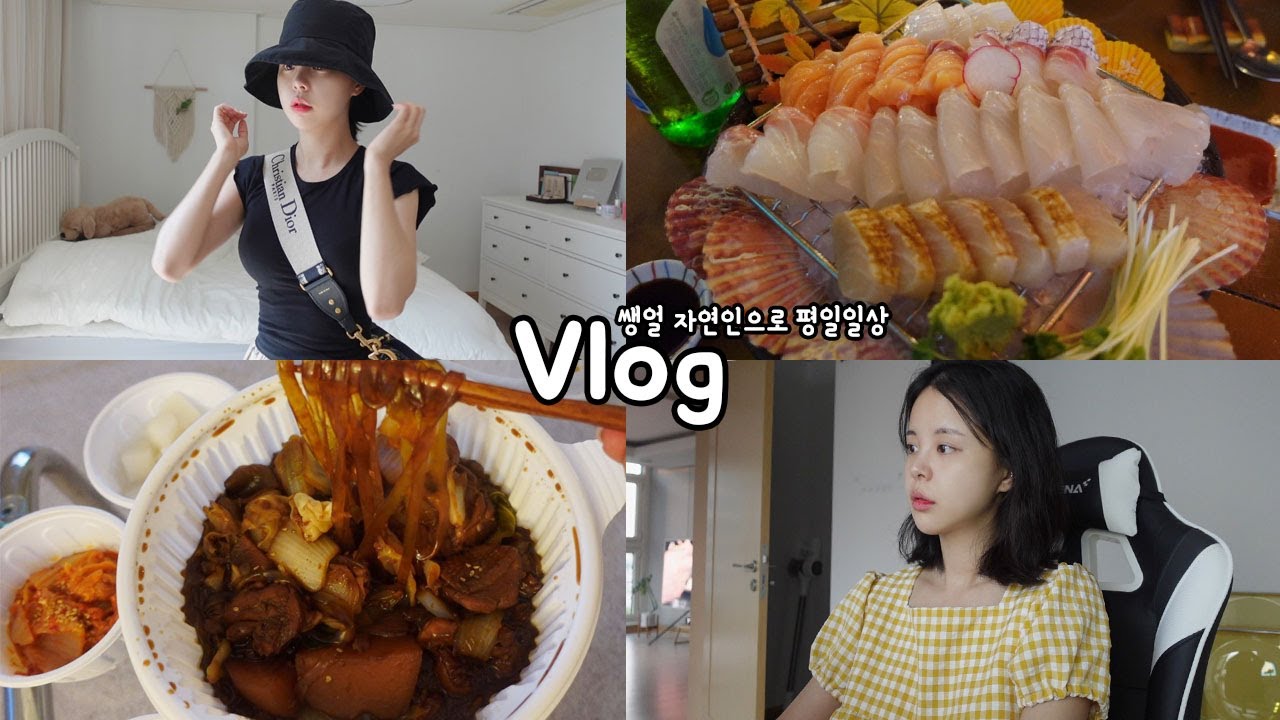 [일상vlog] 매일을 기록하는 옆집언니st 예소리데이 _ 간장찜닭+육회비빔밥+새우완탕+안경맞추기+영상편집+
