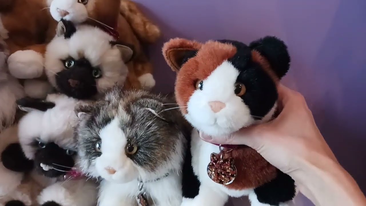 My Full Collection of Vintage Floppy Douglas Cuddle Toys Cat Plush! 🐈💞
