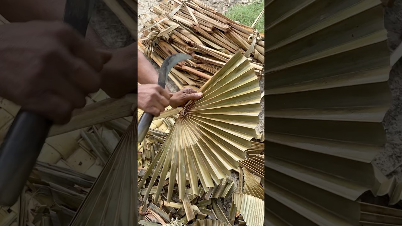 How to Making Palm Leaf Fans #shorts
