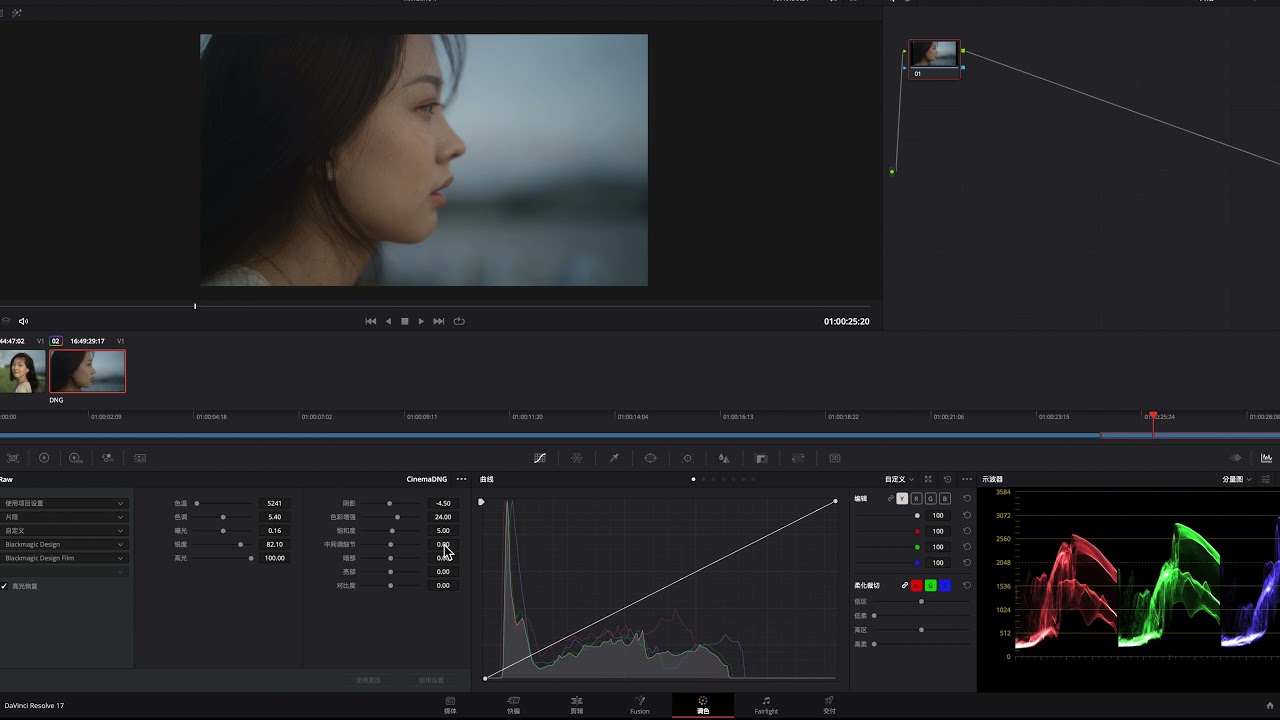 Sigma fp CinemaDNG RAW Grading  in Davinci Resolve (portraits)