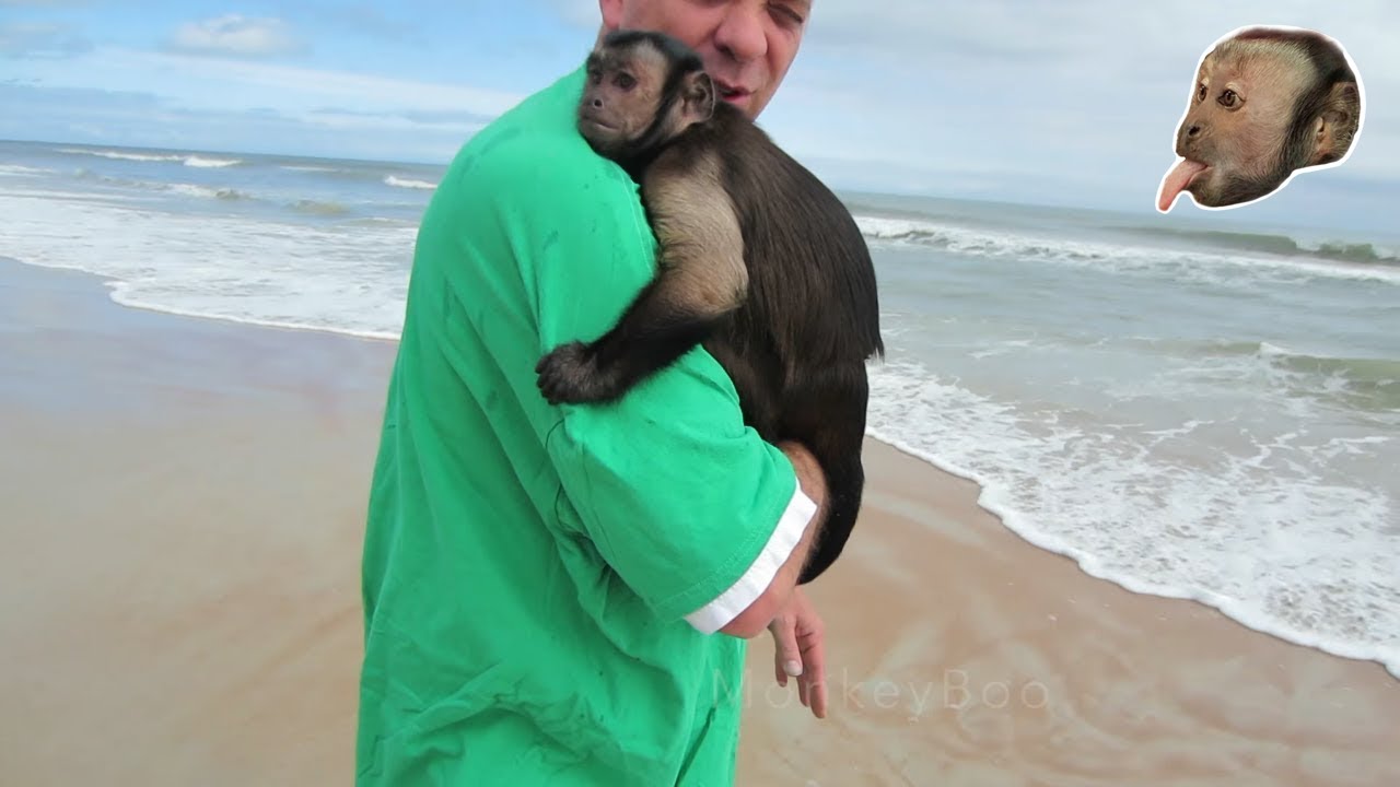 Monkey Beach Trip
