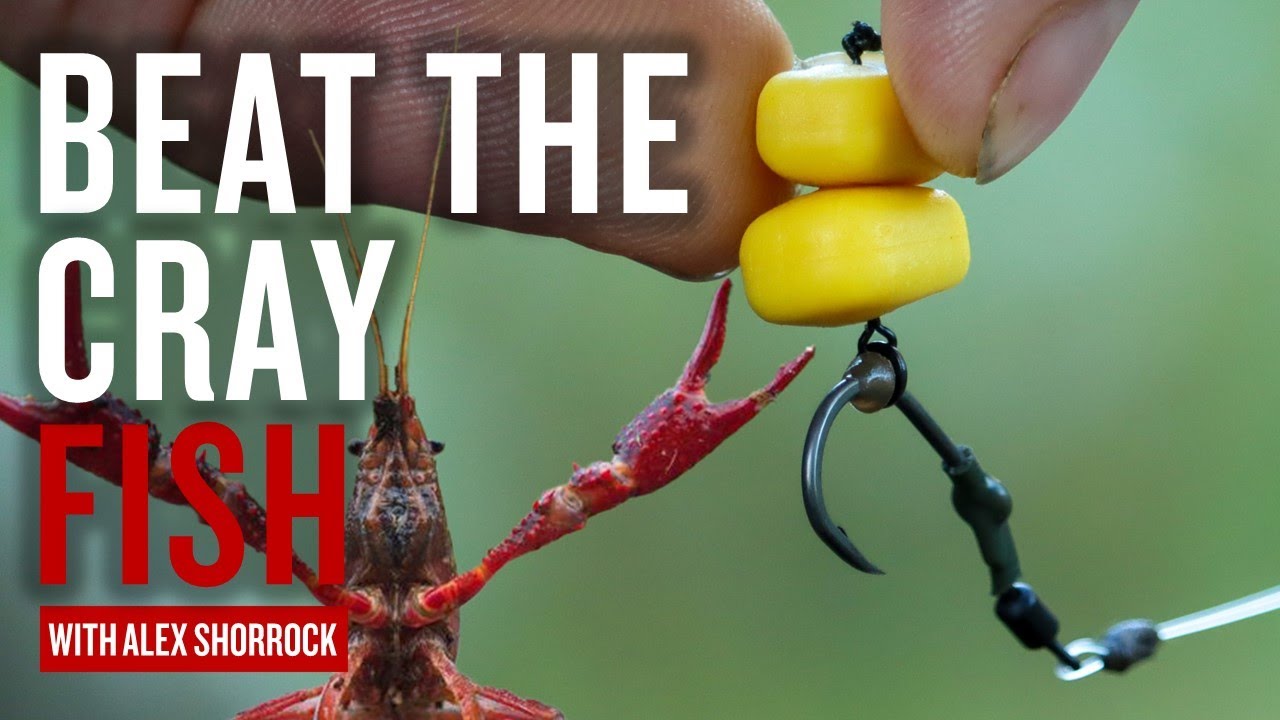 How To Beat The Crayfish | Rigs Hook Baits & Bait | Avoiding Crayfish | Carp Fishing Tips