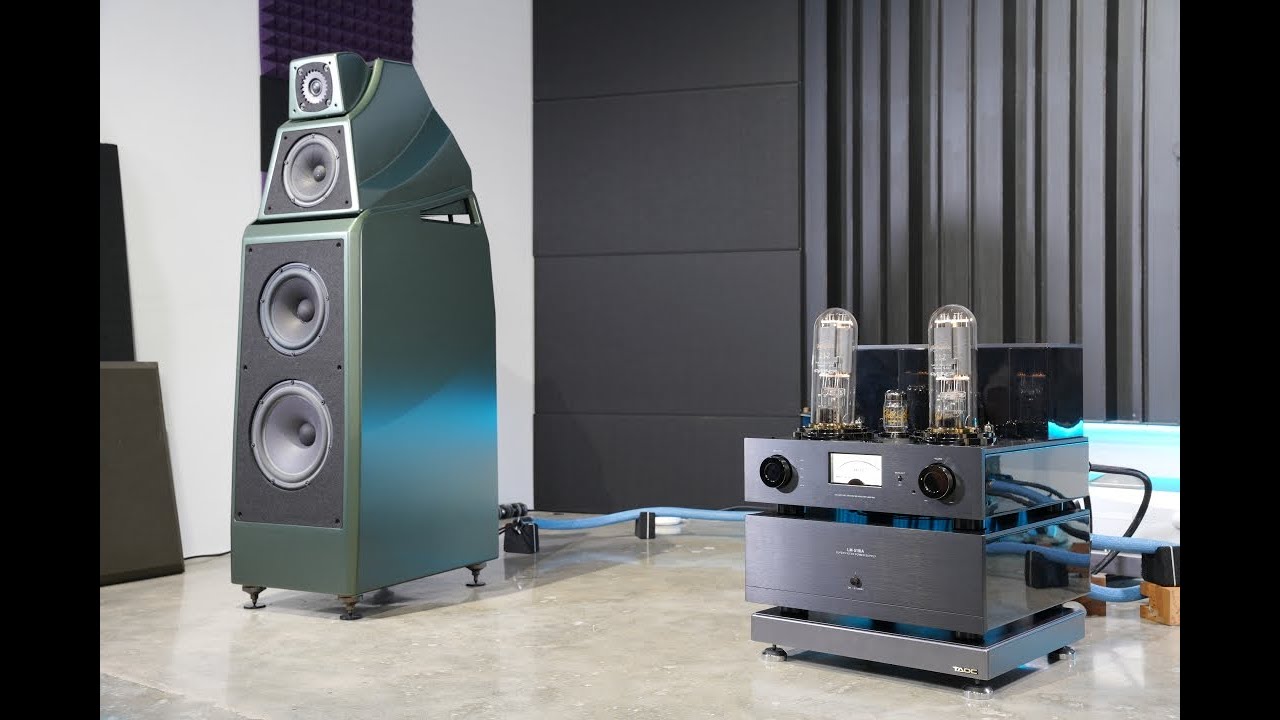 ✨ Wilson Audio Alexia V + Line Magnetic LM-519IA ✨