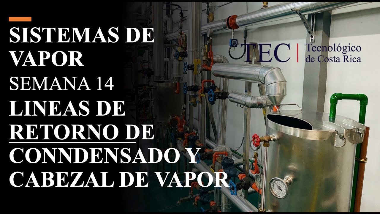 SEMANA 14 SISTEMAS DE VAPOR