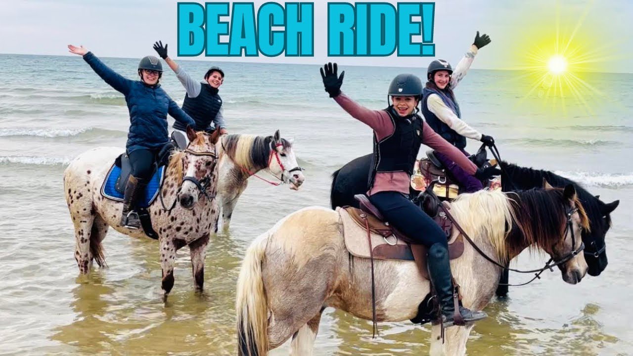 Exhilarating Beach Ride With My 4 Horses! This Day Trip Was an Adventure