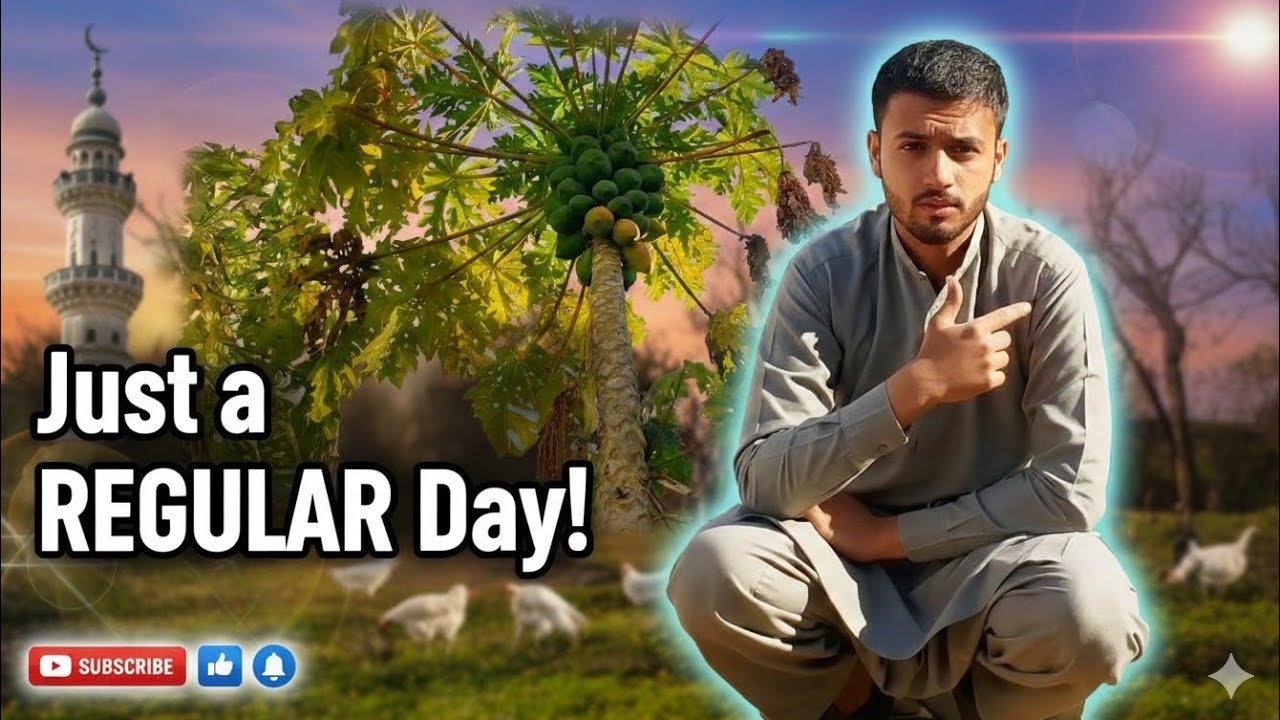 Just a Regular Day in My life | Life With Zain