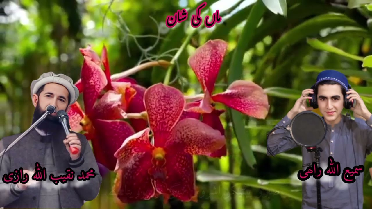 ماں کی شان میں ایک زبردست کلام ❤️‍🩹🫠🥲