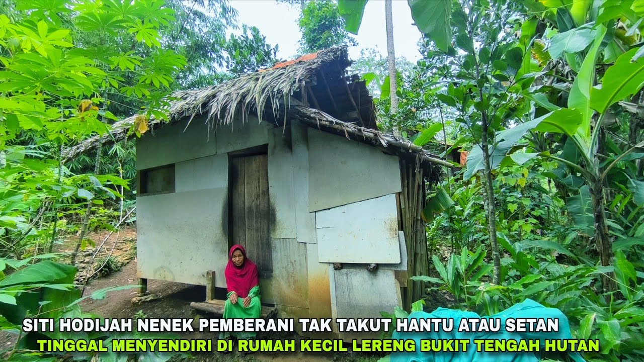 NENEK PEMBERANI.TIDAK TAKUT HANTU.TINGGAL MENYENDIRI DIRUMAH KECIL.BUKIT BATU TENGAH HUTAN