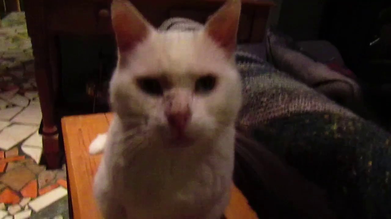 Advice to a Young Man...