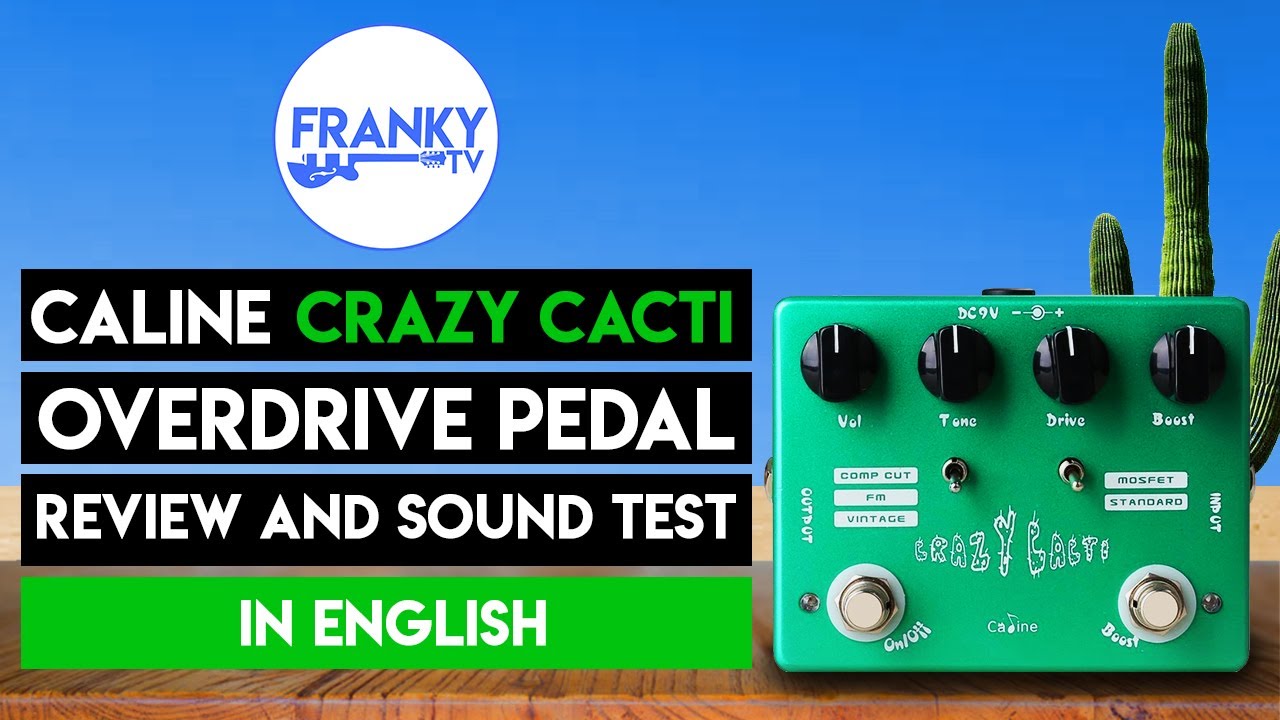 Caline Crazy Cacti overdrive/boost pedal review (in English)