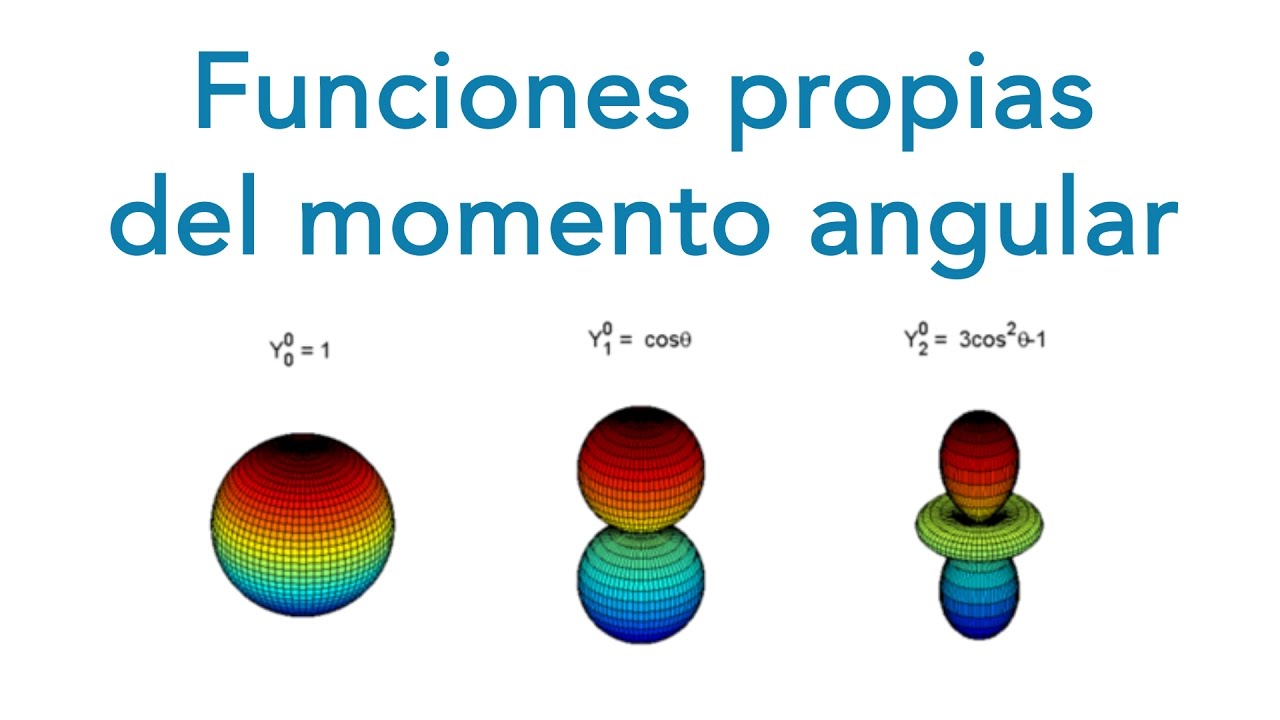 49.- Vectores propios del Momento Angular y de Spin