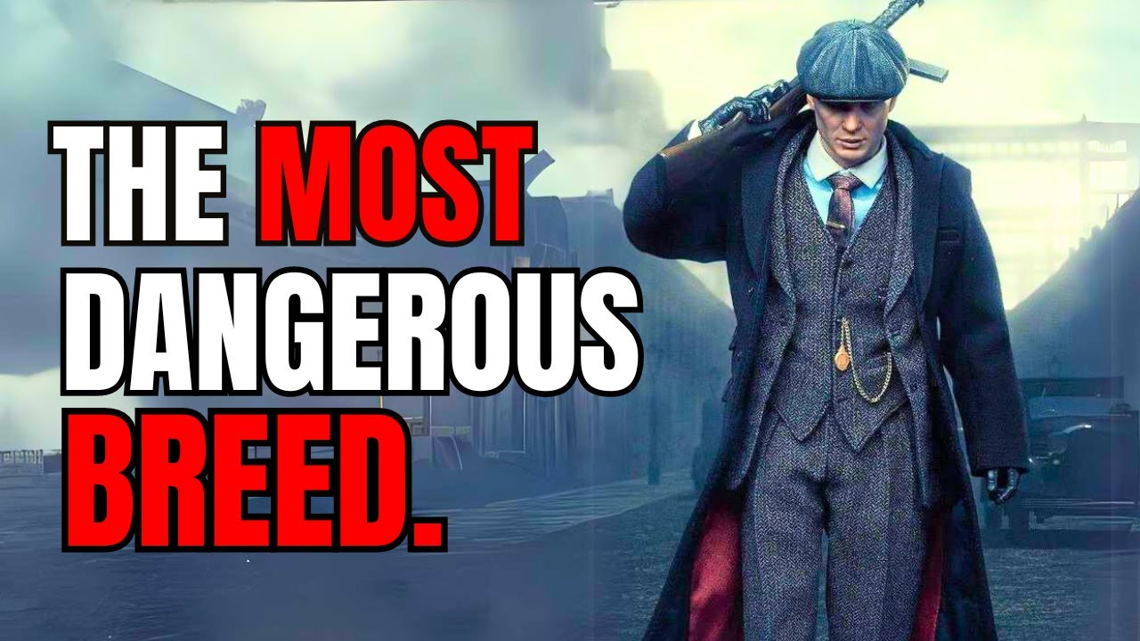 Ways Sigma Male Shows that He's Dangerous