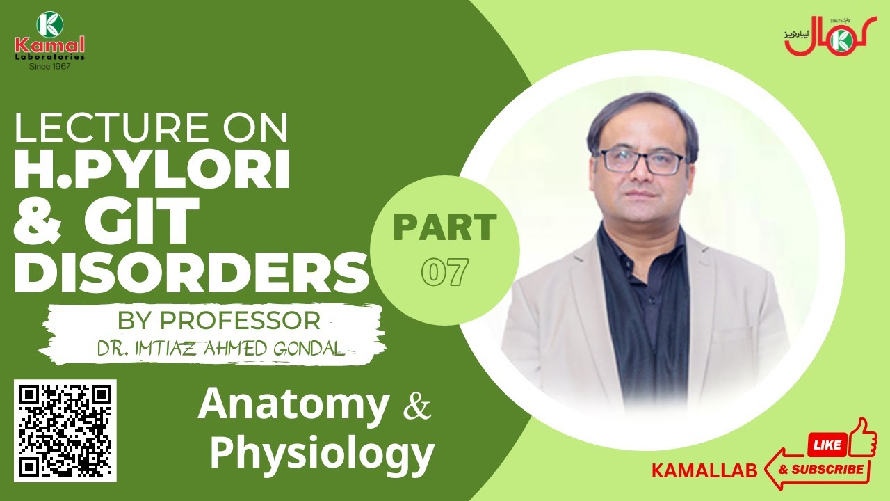 Helicobactor pylori treatment (Anatomy & Physiology) | Part-07