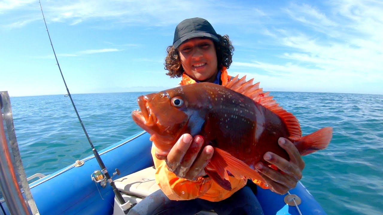 Free dive / Red Roman catch and cook