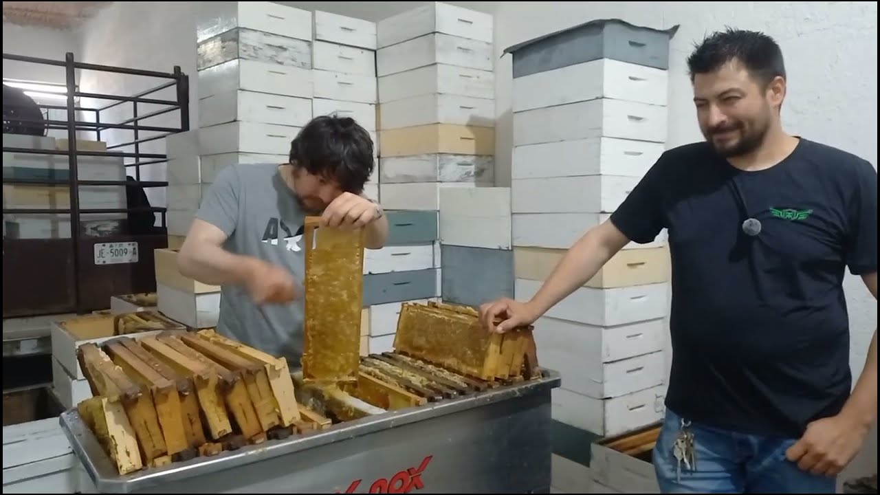 Apiarios cadmiel en manalisco Jalisco México diciembre 2025 
