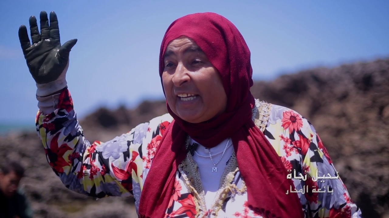 حياتهم بعد الجدار/  شاطئ الراحة/شاطئ السعادة/بحر عين السبع hayatohom baad aljidar