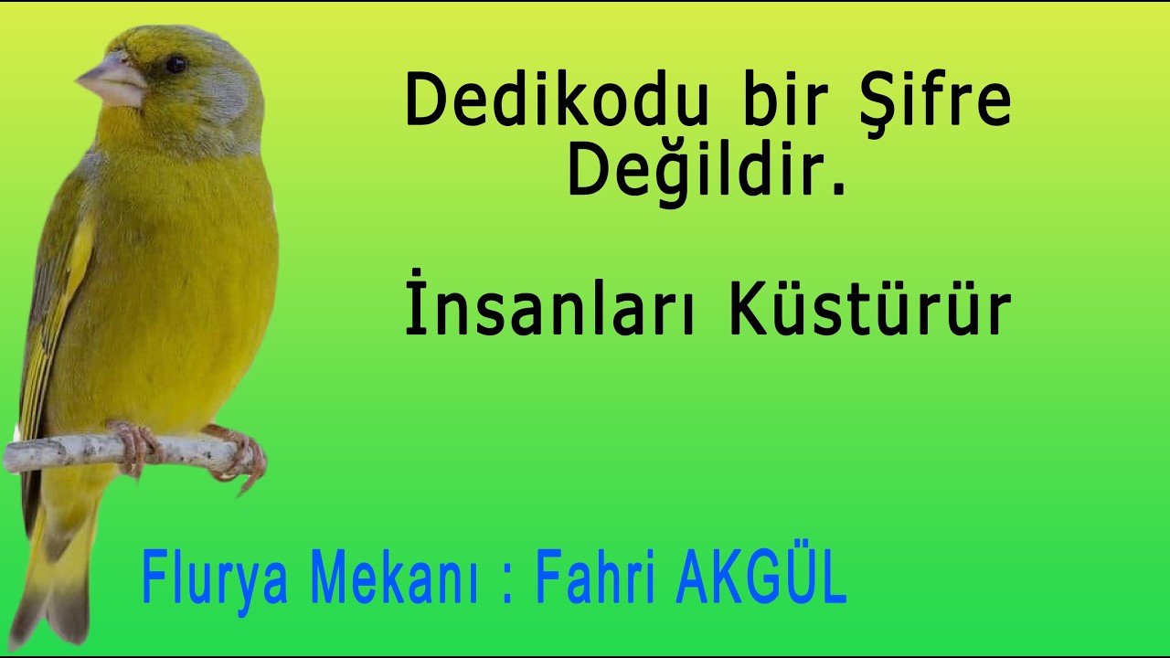 Fahri AKGÜL - Flurya Mekanı - Dedikodu bir şifre değildir, insanları küstürür