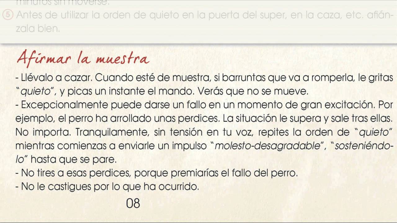 Video 06 - Afirmar la muestra