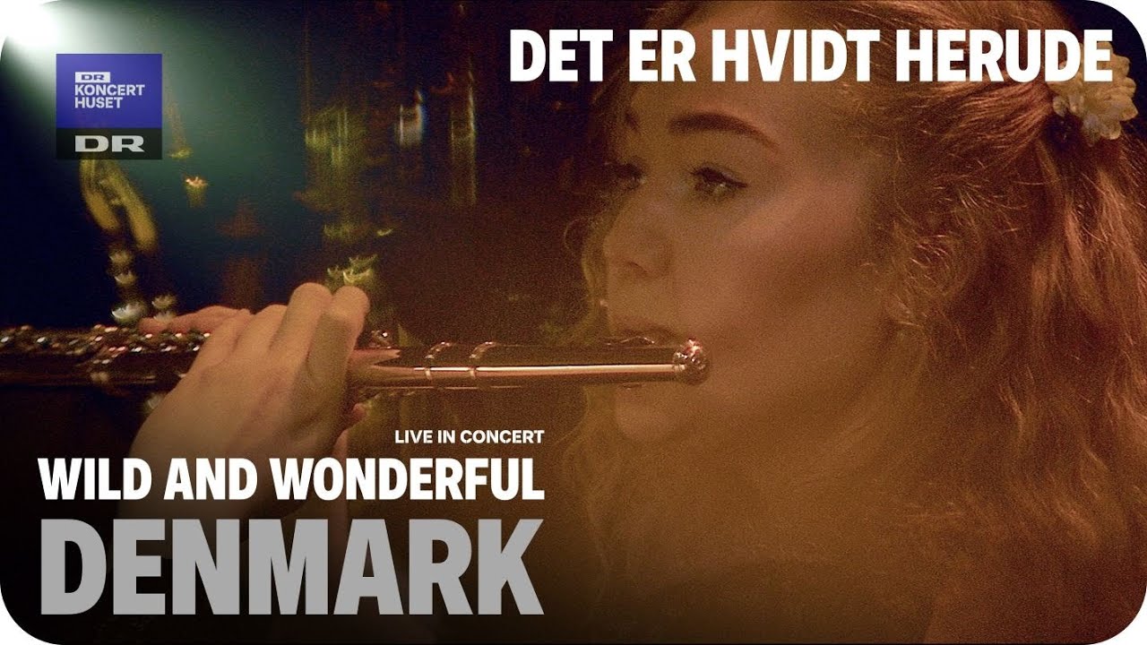 WILD AND WONDERFUL DENMARK // Det er hvidt herude  - LIVE IN CONCERT