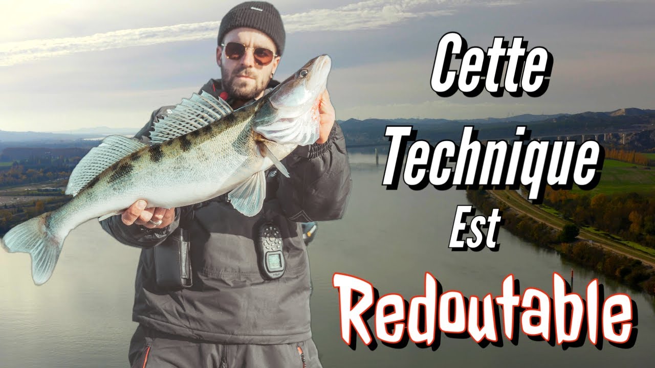 Cette Session de pêche en verticale est redoutable sur les Sandres