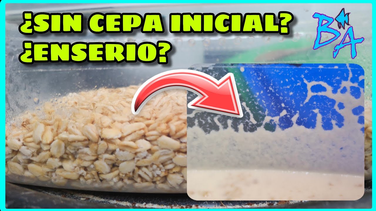 Alimentos vivos SIN CEPA INICIAL para peces de acuario