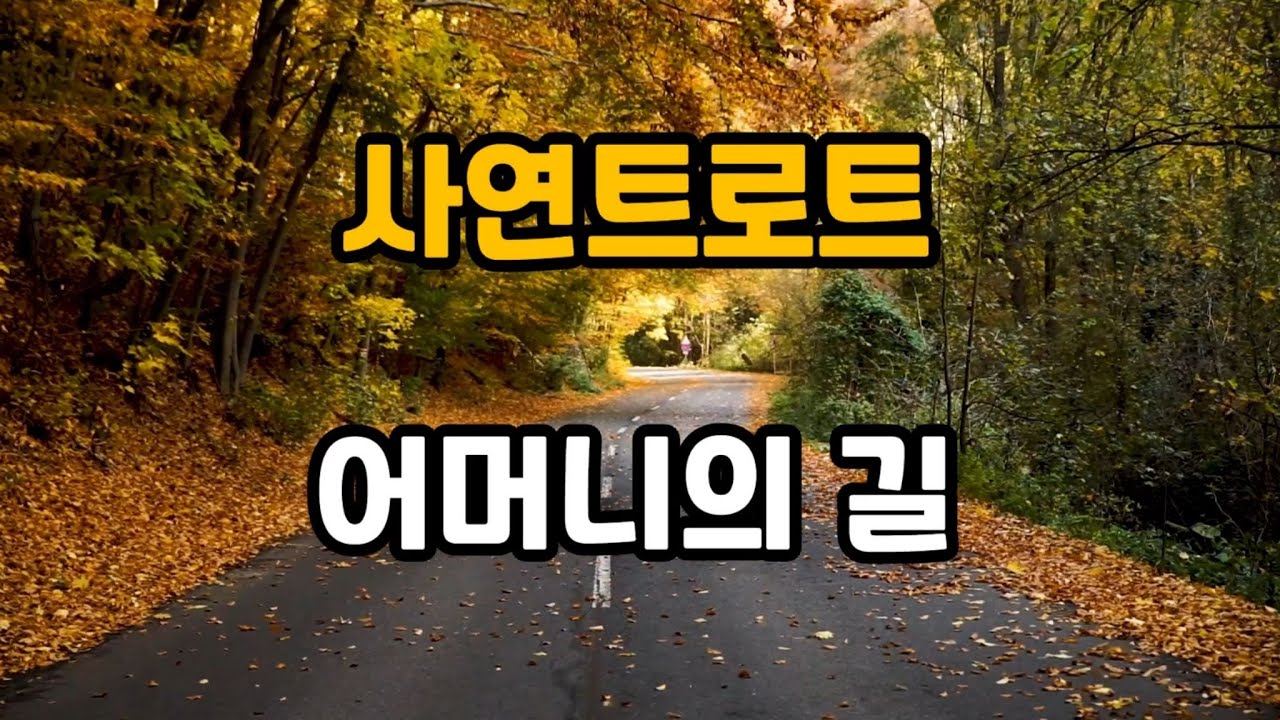 어머니의 길 (사연트로트)