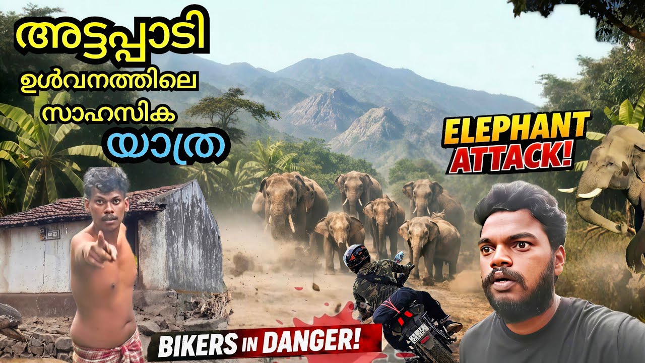 Most Dangerous Road in Attappadi... 🌿