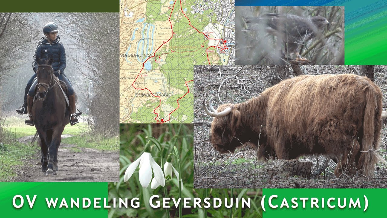 OV wandeling Geversduin -  wandelen bij Castricum