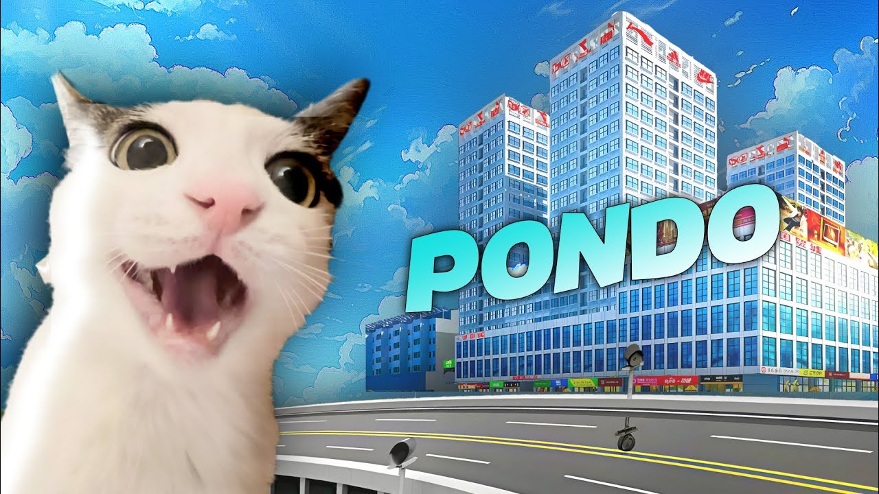 Pondo is getting better | exe |