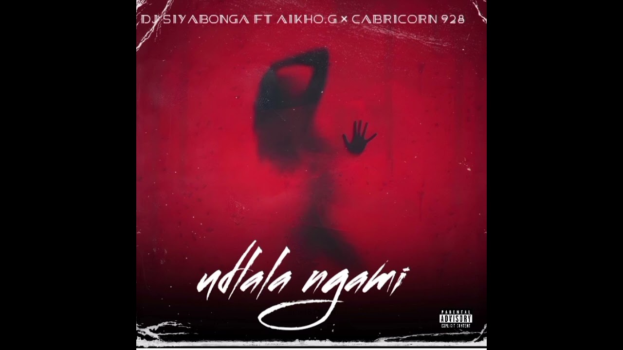 U dlala ngami (dj siyabonga dr nergetive Ft Cabricorn 928 ×Aikho.G)
