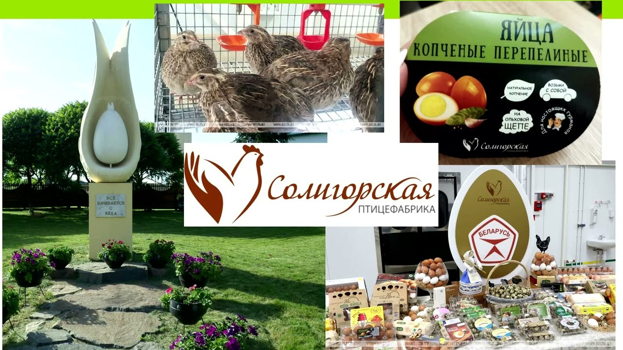 линейные уравнения 2