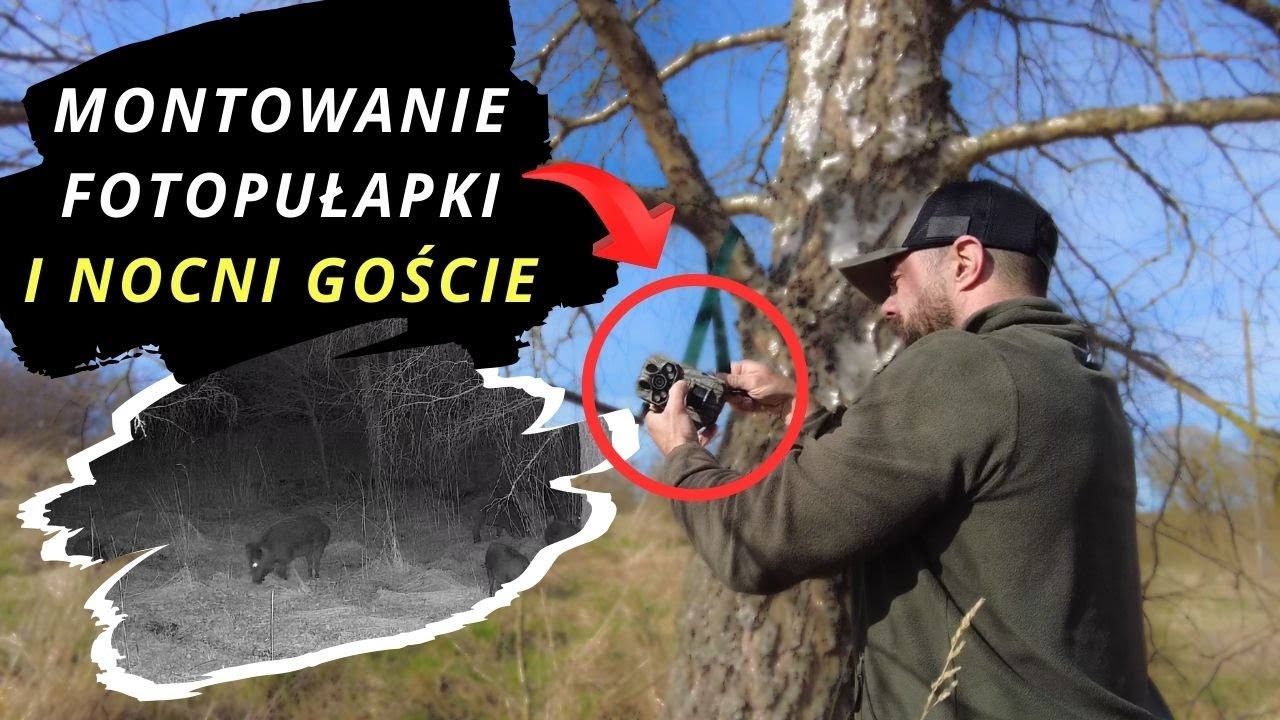 Montowanie fotopułapki na drzewie i nocni goście !