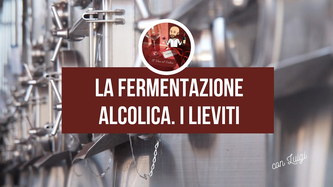 La fermentazione alcolica. I lieviti