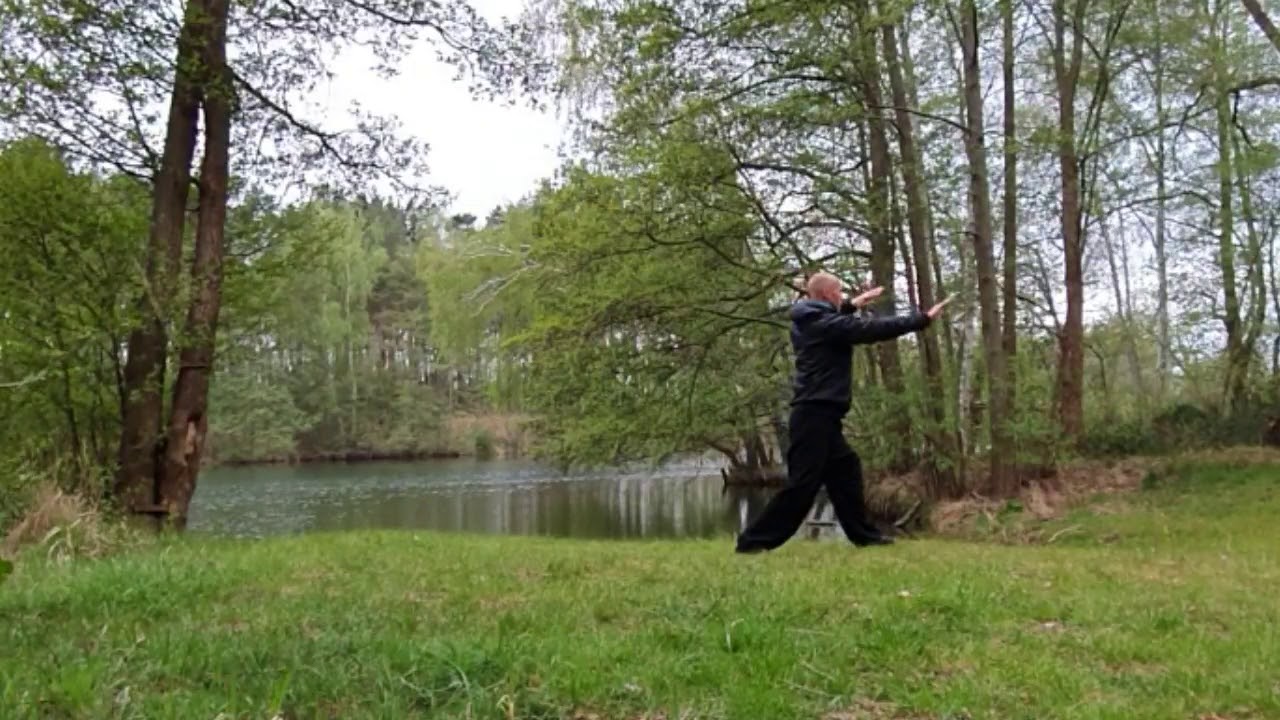Taiji Ba Zi Gong Fa 1 - Online Training