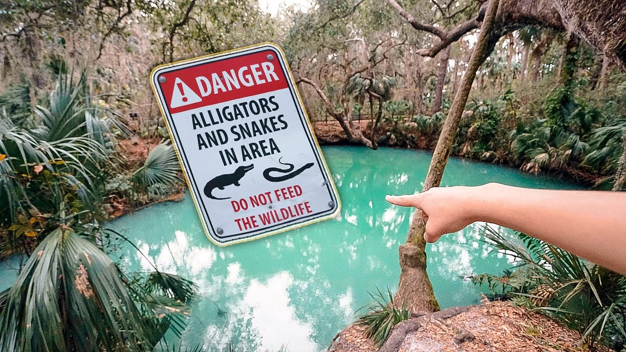 ACHAMOS UM LAGO CRISTALINO NO MEIO DA FLORESTA !!