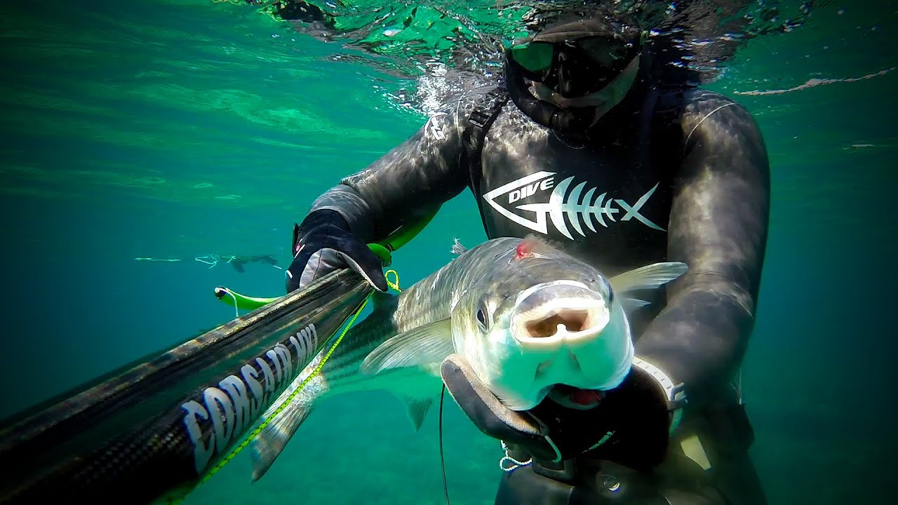 Alternative Cyprus Spearfishing #2|Grey Mullet 5kg-Dentex-Seabreams-Garfish|Pescasub|GO PRO