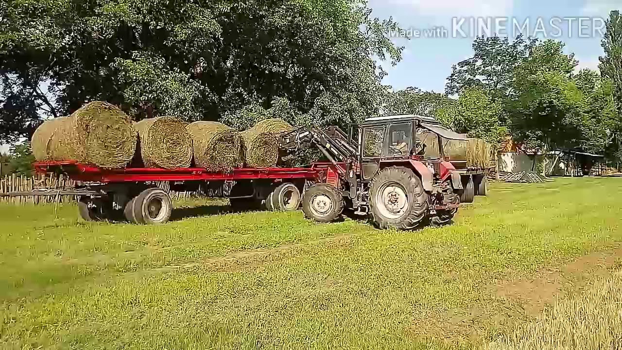 MTZ-KEL Lucerna siló bála készítés. /4.rész./ MTZ Agro Vlog / A bála hordás mtz 892.