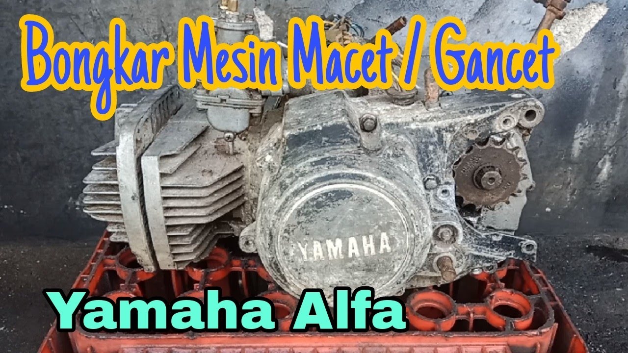 Bongkar Mesin Yamaha Alfa @asmchannel1505