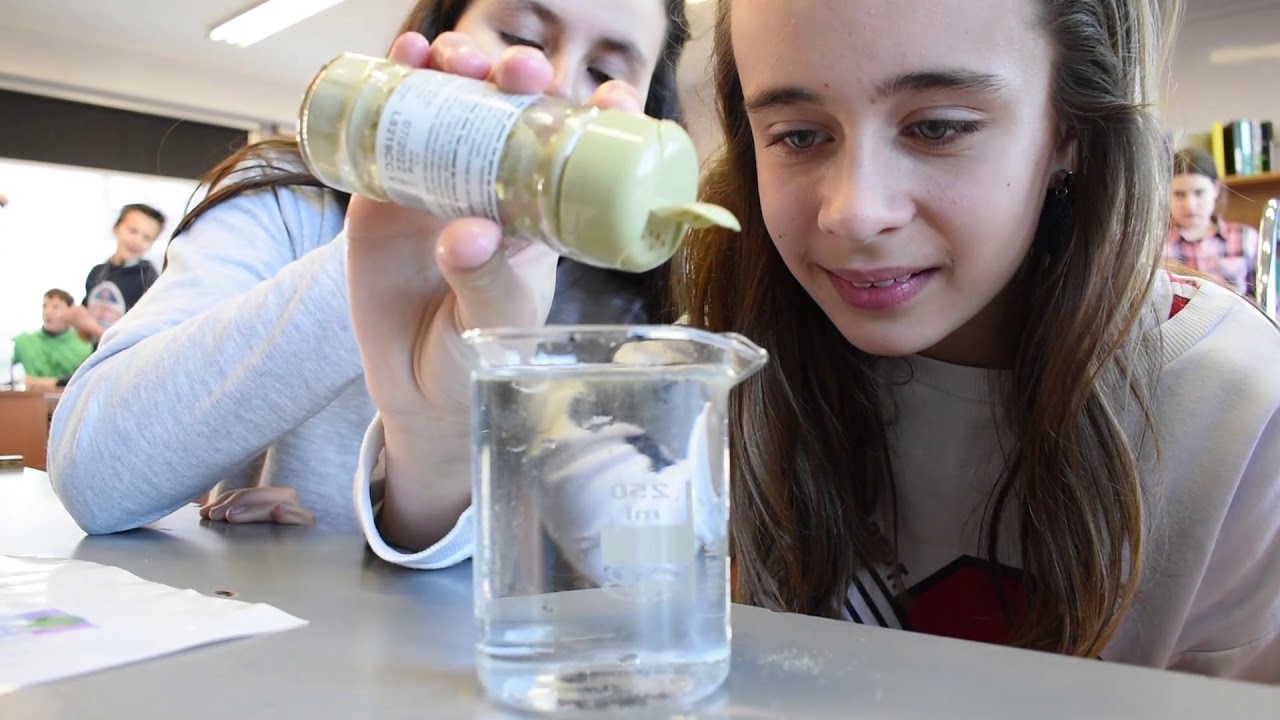 Présentation de notre école (réalisée en 2019)