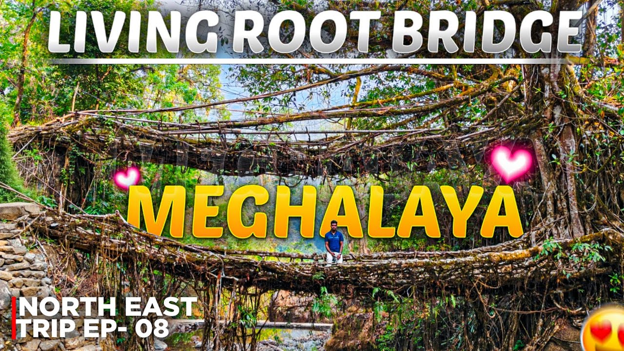 Living Root Bridge | Cherapunji | Meghalaya | Northeast Trip EP - 08