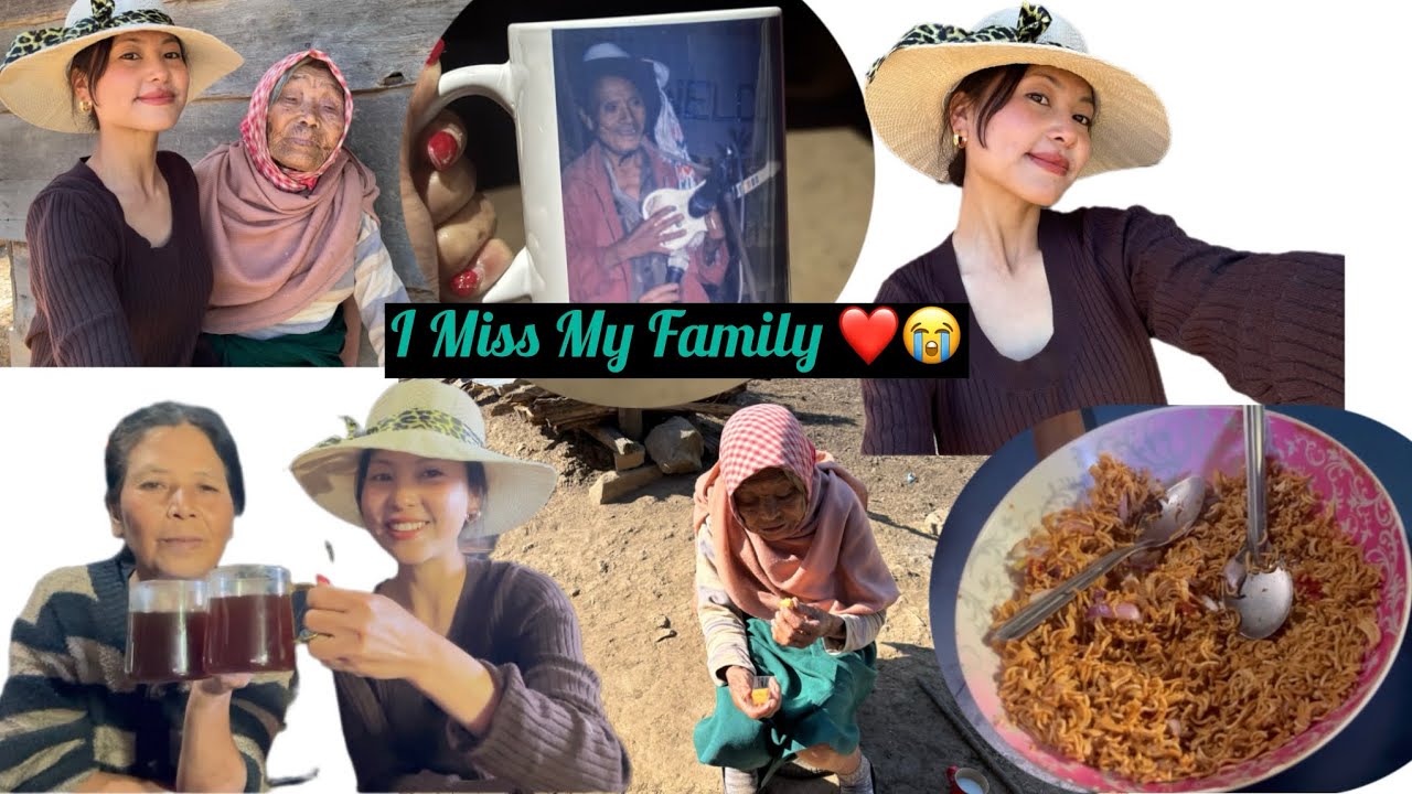 “My Last Vlog in My Village