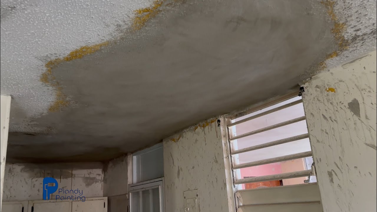 Albañilería interior propiedad trabajada completa Plandy Painting LLC