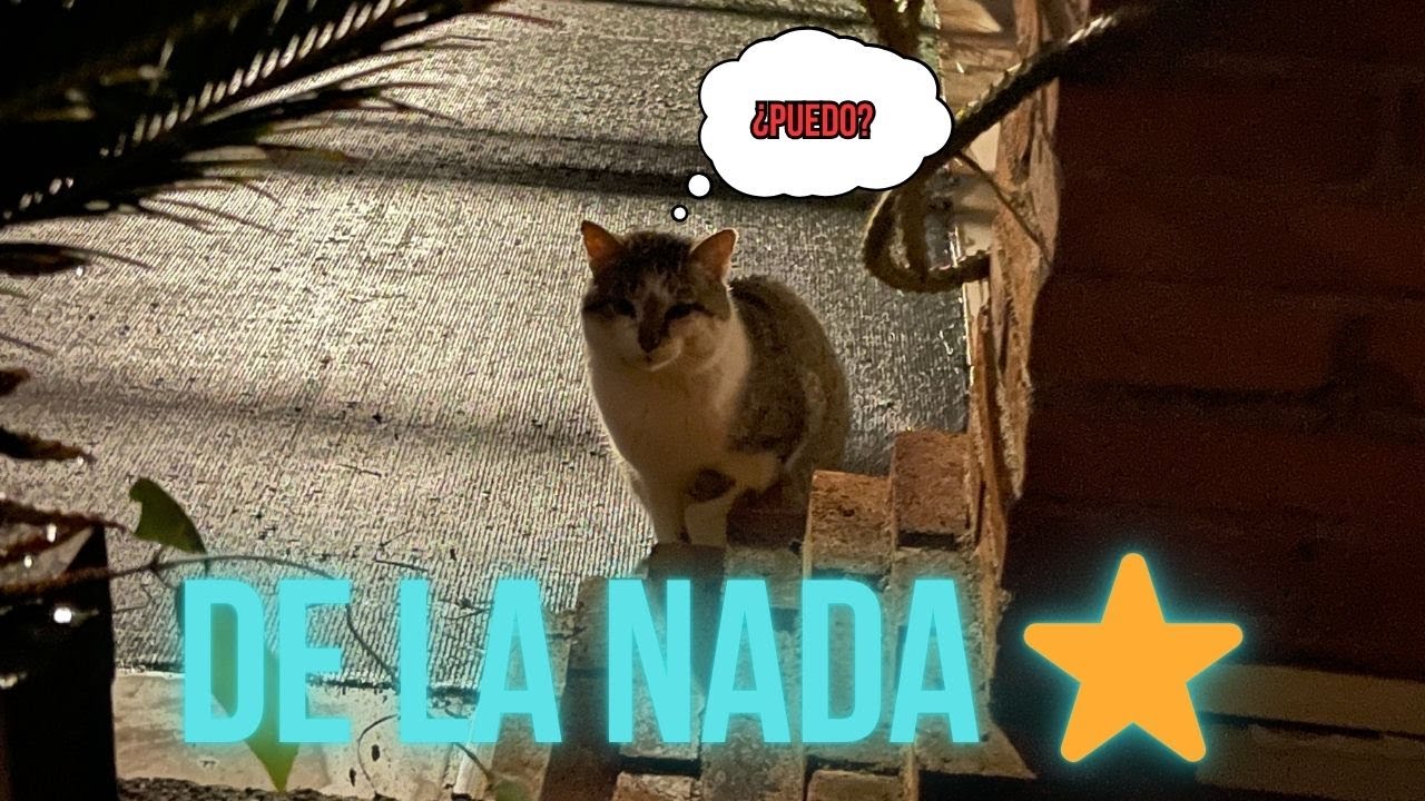 Apareció de la nada | DÚO (noche)
