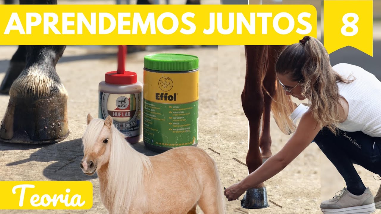 Cuidado de los cascos, grasa negra/verde, inspección del caballo